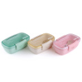 Plastic Food Container Salad Sandwich Picnic Lunch Box